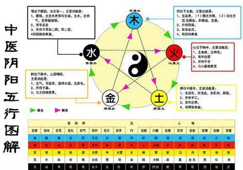 金 生 水|金为何生水